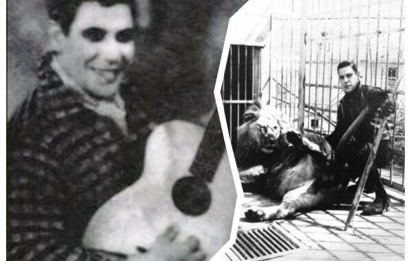collageFredScotti