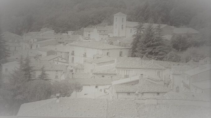 marzi1