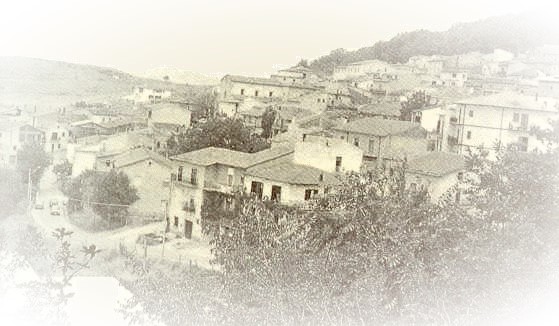 plataci
